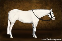 Horse Color:Cremello Dun Tobiano