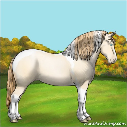 Horse Color:Buckskin Pearl Dun Tobiano