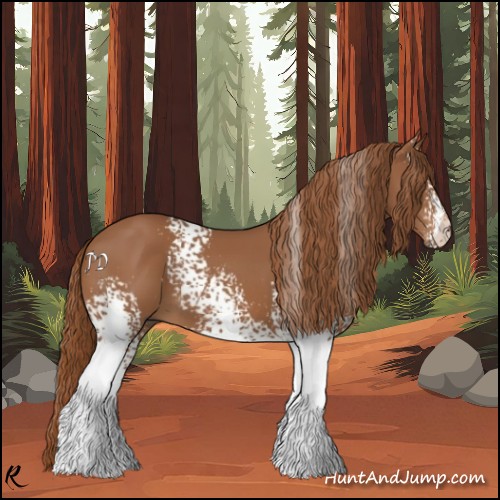 Horse Color:White Spotted Chestnut 