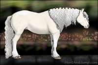 Horse Color:Cremello Dun Tobiano 