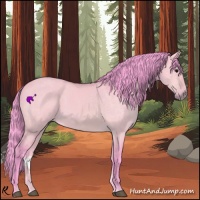 Horse Color:Watercolor Bay Dun