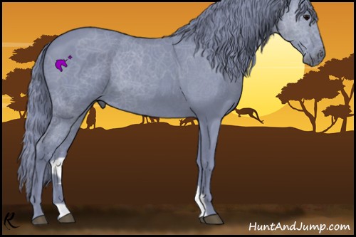 Horse Color:Watercolor Blue Roan 