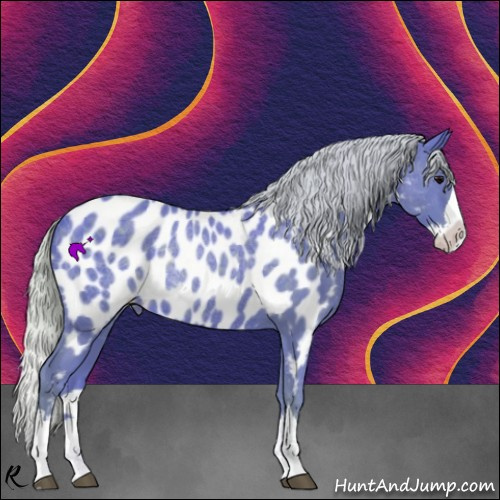 Horse Color:Watercolor Silver Blue Roan Splash Appaloosa Rabicano 