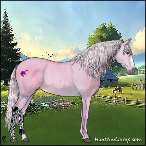 Horse Color:Watercolor Silver Bay Dun 