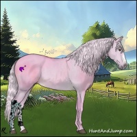 Horse Color:Watercolor Silver Bay Dun 