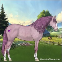 Horse Color:Watercolor Red Dun Sabino 
