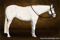 Horse Color:Smoky Creme Dun Tobiano