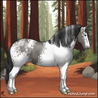 Horse Color:White Spotted Grullo