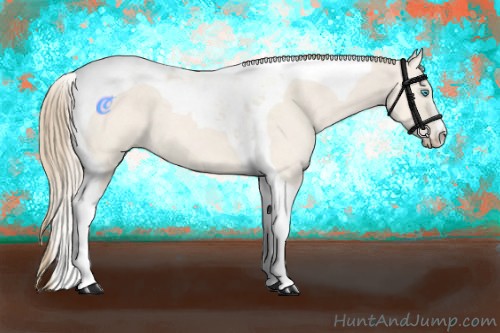 Horse Color:Perlino Dun Tobiano 