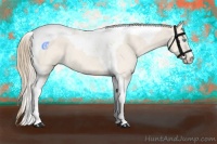 Horse Color:Perlino Dun Tobiano 