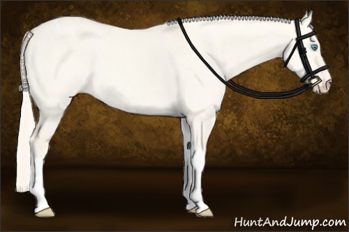 Horse Color:Cremello Dun Tobiano