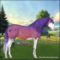Horse Color:Watercolor Bay Splash