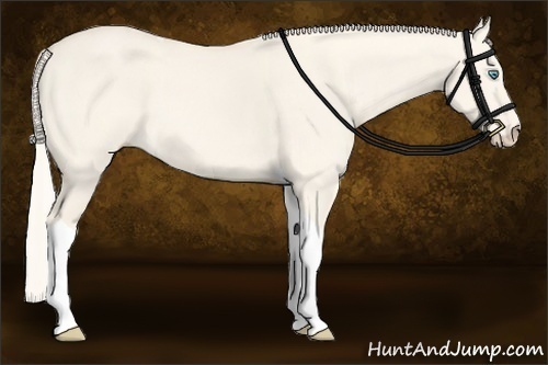 Horse Color:Cremello Dun Tobiano 