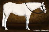 Horse Color:Cremello Dun Tobiano 