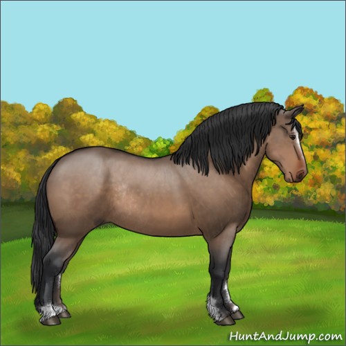 Horse Color:Brown Dun Sabino Rabicano