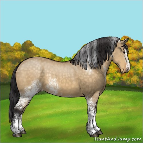 Horse Color:White Spotted Buckskin Dun Sabino Rabicano 