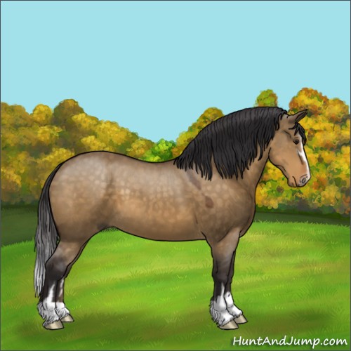 Horse Color:Buckskin Dun Sabino