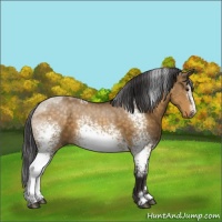 Horse Color:White Spotted Buckskin Dun Sabino 