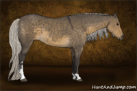 Horse Color:Silver Smoky Grullo Sabino 