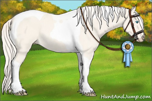 Horse Color:Cremello Dun Tobiano 