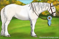 Horse Color:Cremello Dun Tobiano