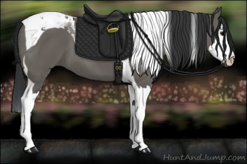 Horse Color:Grullo Splash Tobiano