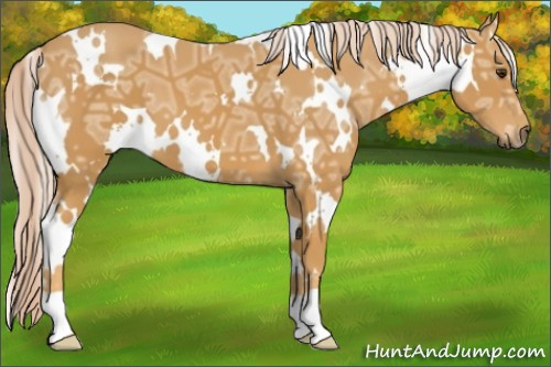 Horse Color:White Spotted Palomino Ice 