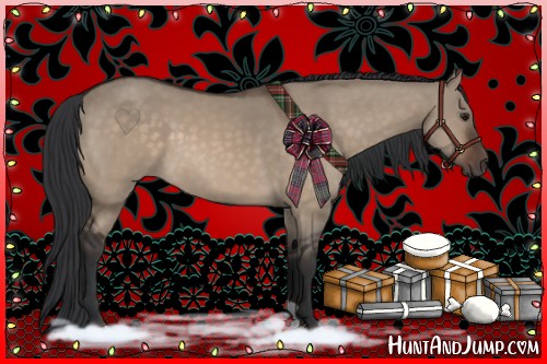 Horse Color:Brown Dun