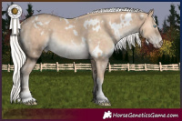 Horse Color:White Spotted Silver Perlino 