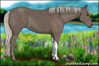 Horse Color:Silver Black 