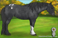 Horse Color:Black Blanket Rabicano