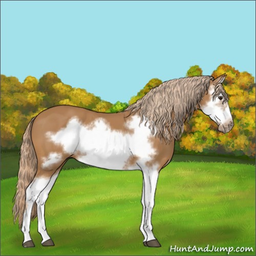 Horse Color:Chestnut Splash Frame 