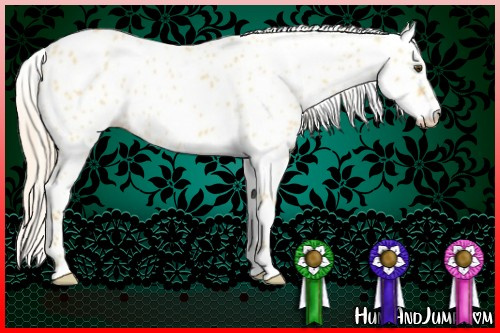 Horse Color:Cremello Dun Leopard 