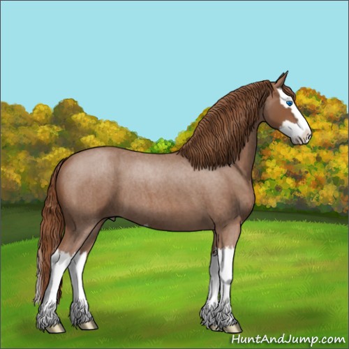 Horse Color:Red Roan Splash 