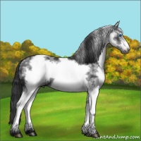 Horse Color:White Spotted Black Frame 