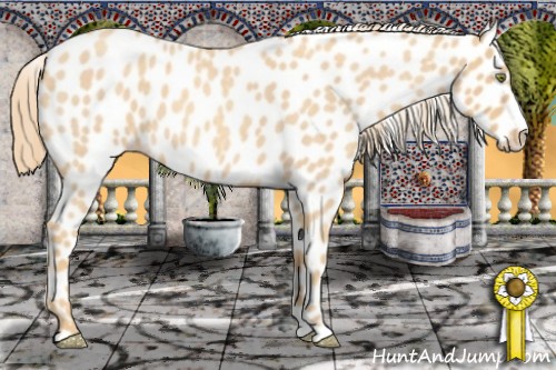 Horse Color:Gold Champagne Roan Leopard 