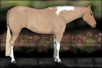 Horse Color:Red Roan Tobiano 