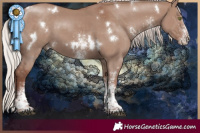 Horse Color:White Spotted Chocolate Silver Grullo