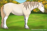Horse Color:Buckskin Pearl Splash Frame 