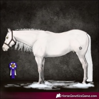 Horse Color:Platinum Silver Bay Pearl Dun 
