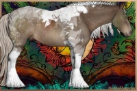 Horse Color:Silver Buckskin Tobiano Rabicano