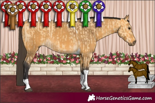 Horse Color:Buckskin Tobiano and Buckskin Tobiano