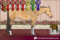 Horse Color:Buckskin Tobiano and Buckskin Tobiano