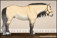 Horse Color:Buckskin Dun Rabicano 