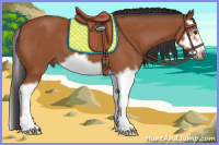 Horse Color:Bay Splash Frame