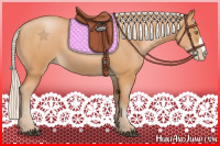 Horse Color:Silver Bay Pearl