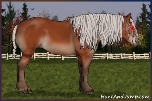 Horse Color:Silver Bay 