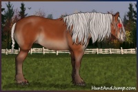Horse Color:Silver Bay 