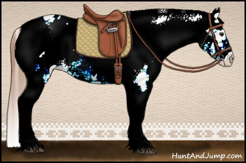 Horse Color:White Spotted Chestnut Varnish Rabicano