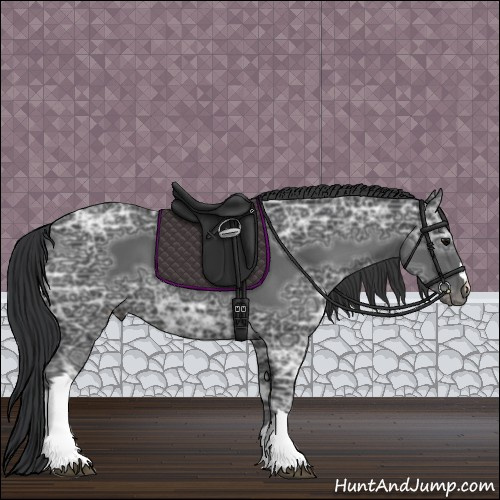Horse Color:Black Ice 